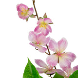 Clematis Spray x 2 Dark Pink image 1