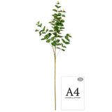 Eucalyptus Stem Dark Green image 1