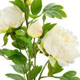 90cm Peony Spray x 5 Cream image 1
