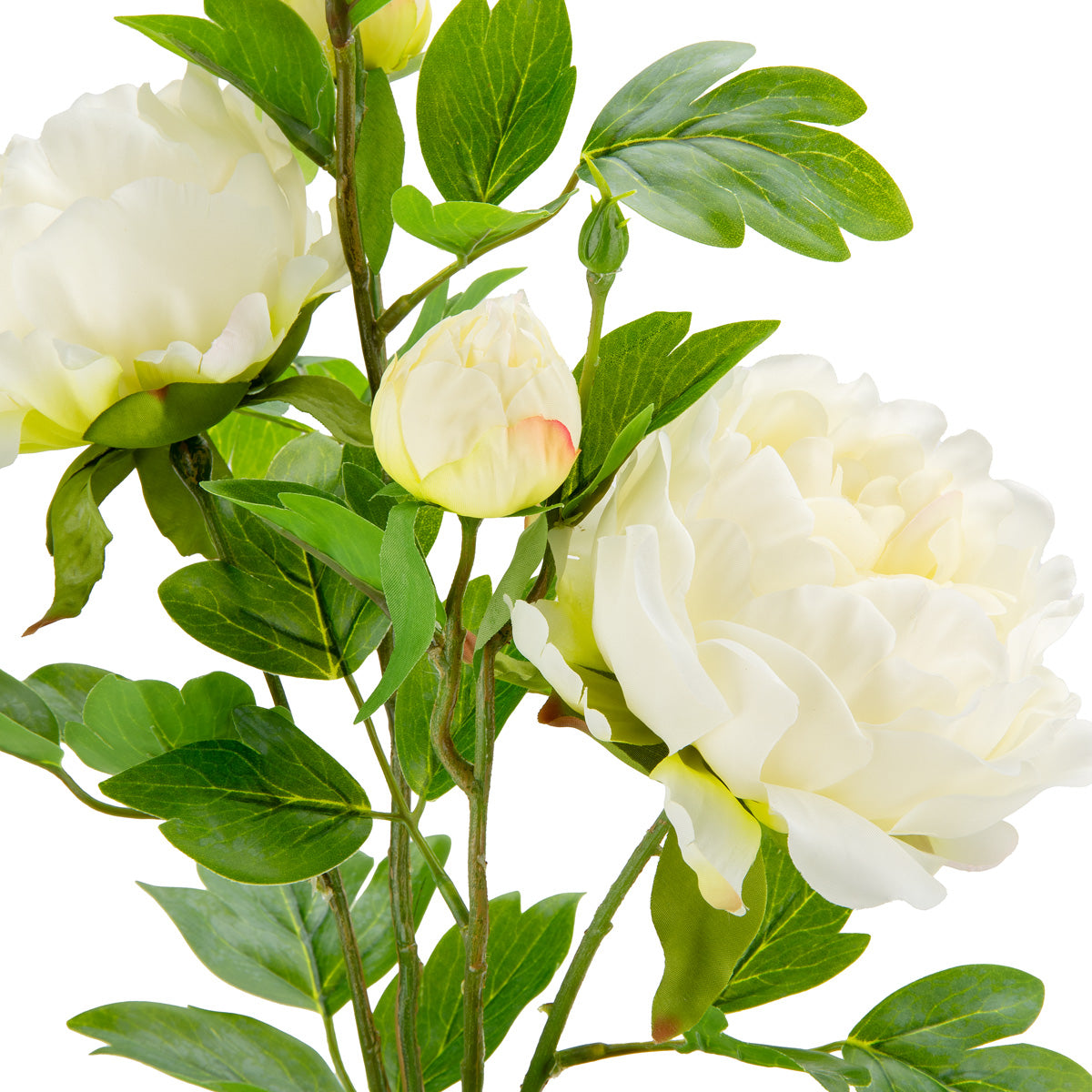 90cm Peony Spray x 5 Cream image 1