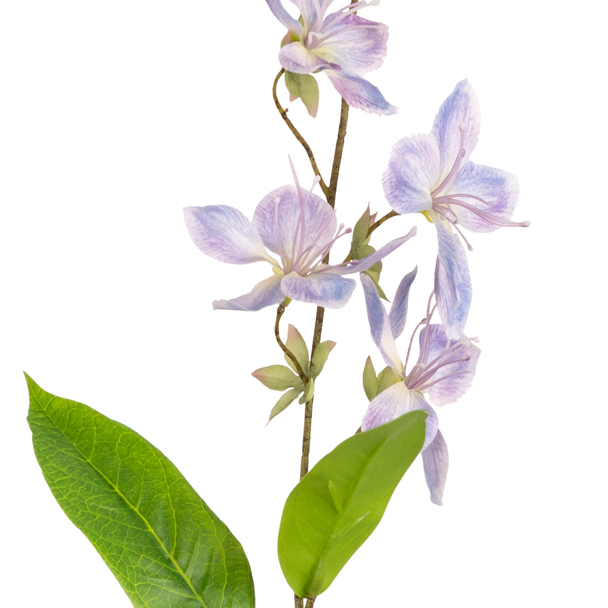 Clematis Spray (78cm) Blue image 2
