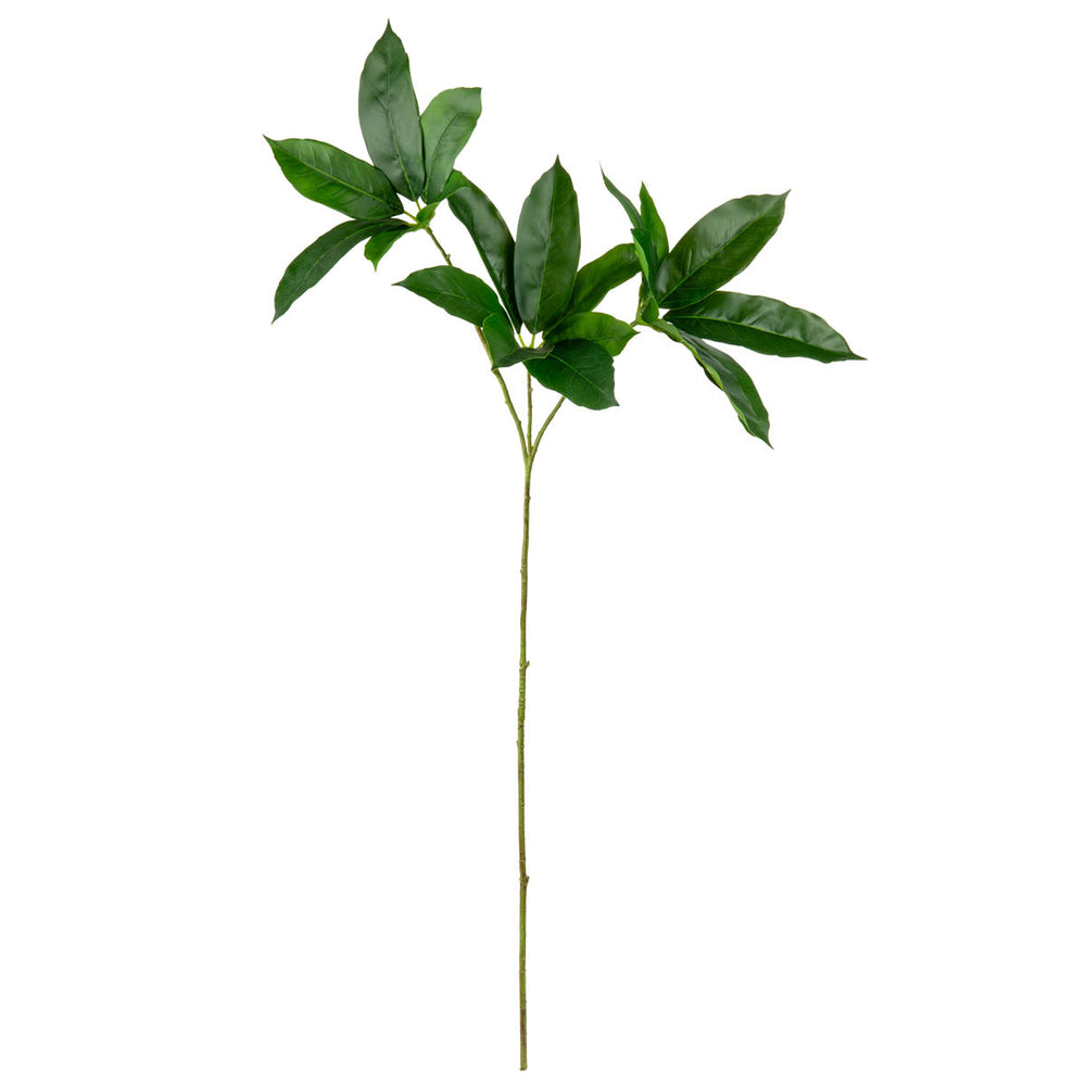 Octopus Tree Leaf Spray x 3 Green image 0