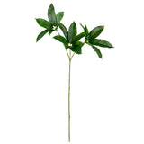 Octopus Tree Leaf Spray x 3 Green image 0
