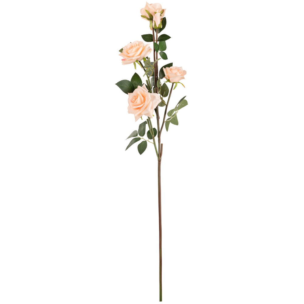 Large Diana Rose Spray x 5 Champagne image 0