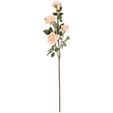 Large Diana Rose Spray x 5 Champagne image 0