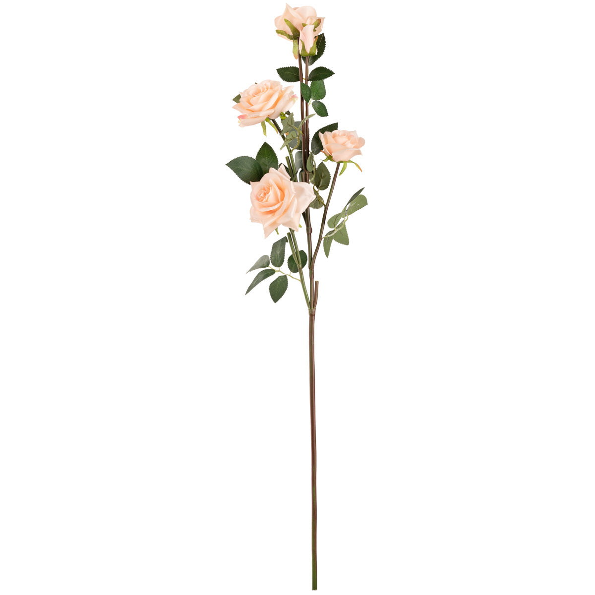 Large Diana Rose Spray x 5 Champagne image 0