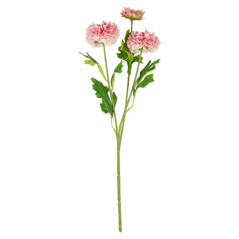 Oriental Aster Spray x 3 Dark Pink image 0