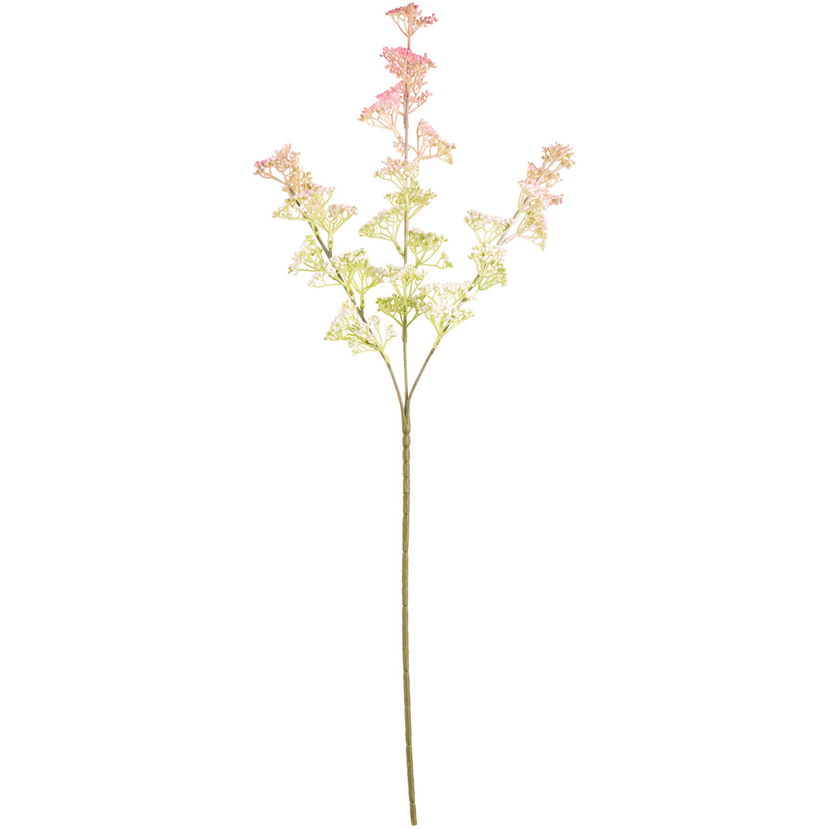 Mini Gyp Stem Light Pink image 0
