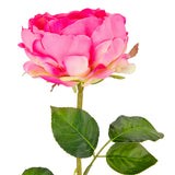 65cm Single Rose Bright Pink image 1
