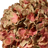Large Head Hydrangea Two Tone Green/Pink image 2