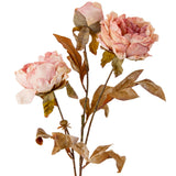 Dry Image Peony Rose Quartz image 1