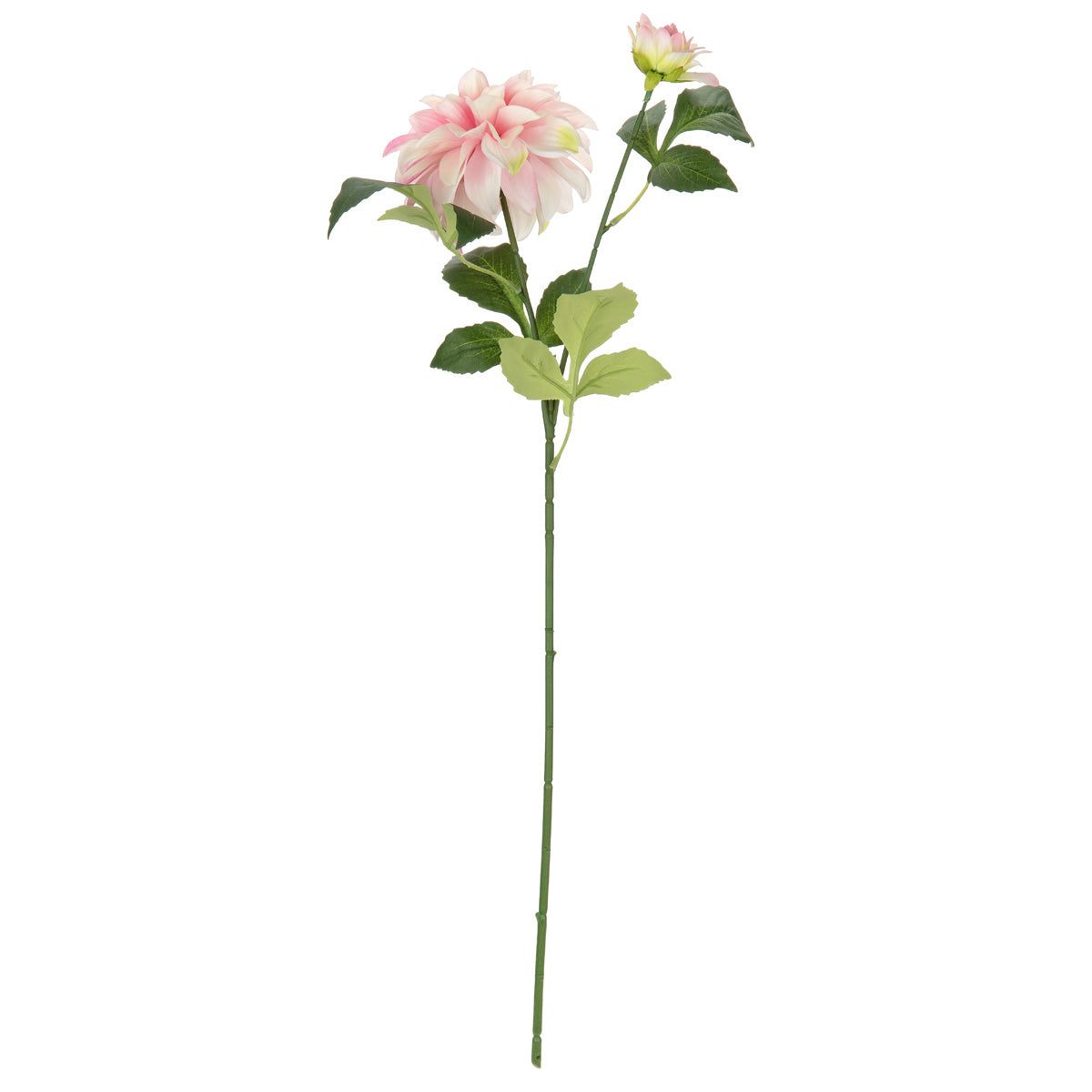 Orlando Dahlia Spray x 2 Pink image 0