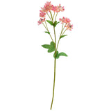 Astrantia Spray 61cm Pink image 0