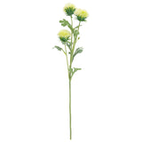 68cm Thistle Spray x 3 Cream image 0