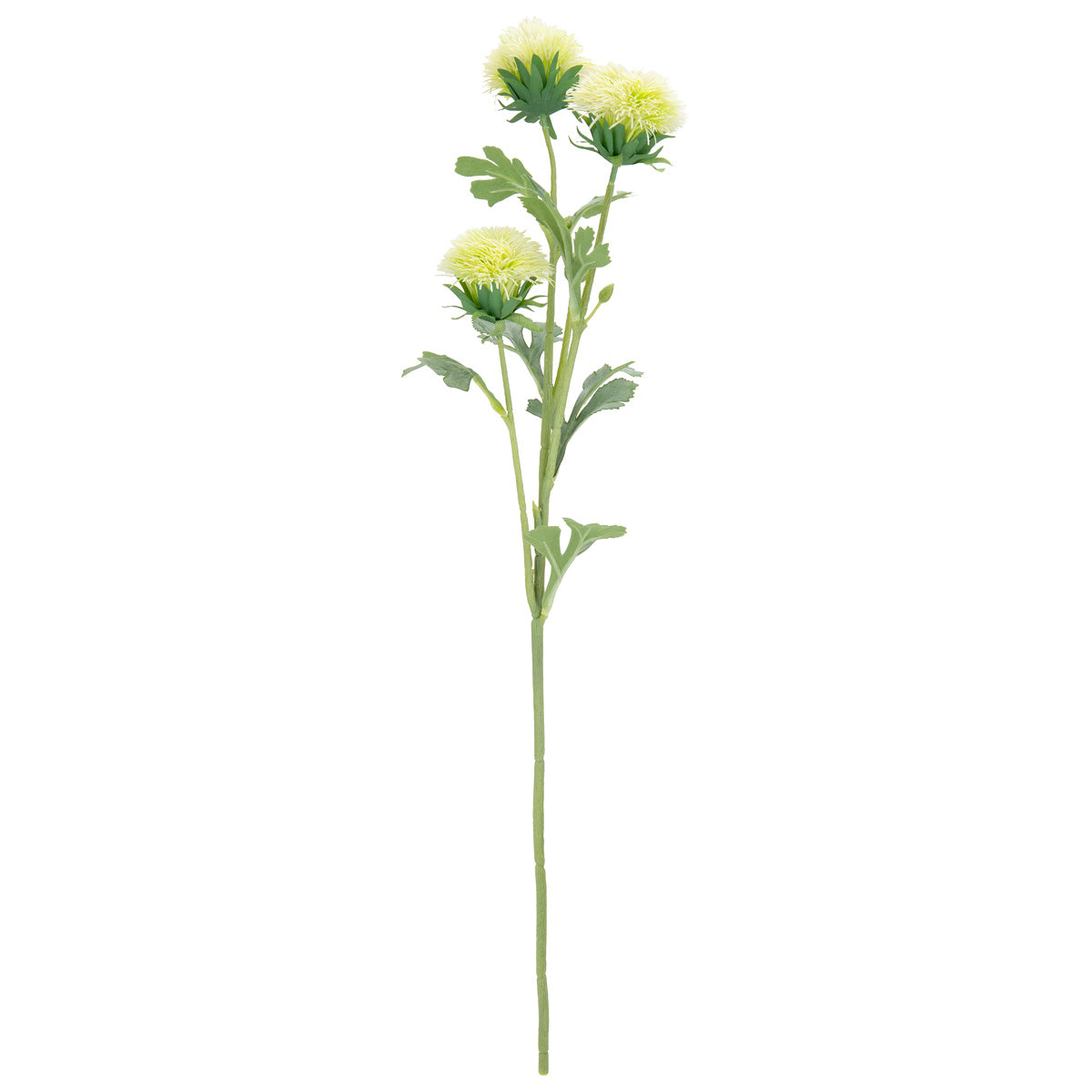 68cm Thistle Spray x 3 Cream image 0