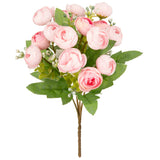 Ranunculus Bush Pink image 1