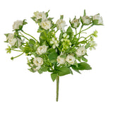 Rosebud Bush White image 1