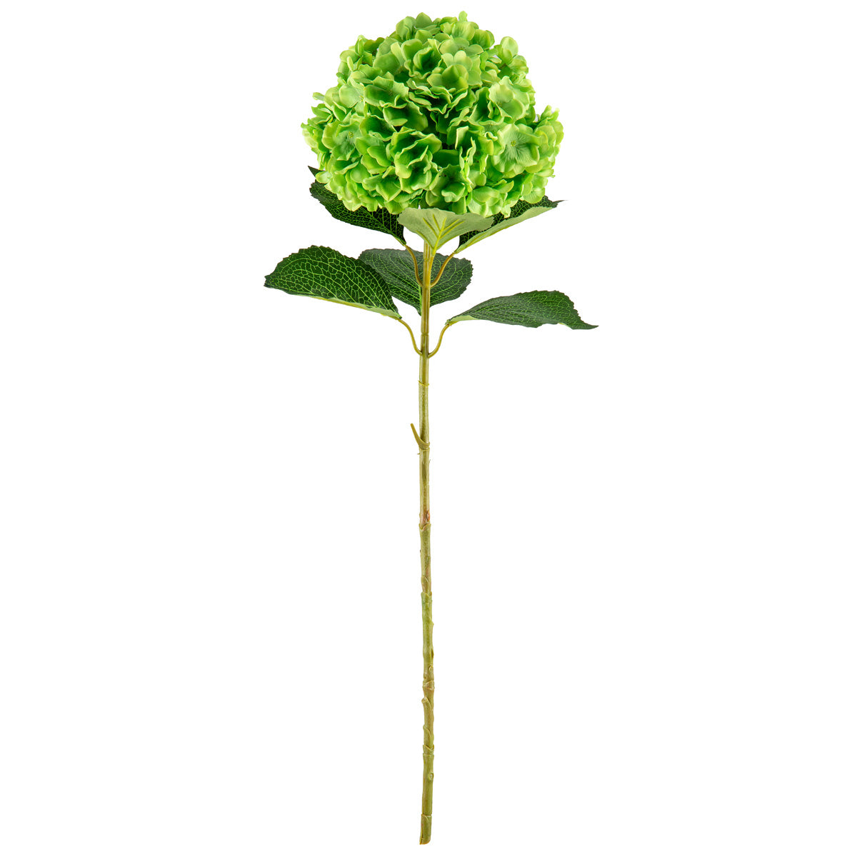 Large Head Hydrangea Green 92cm image 0