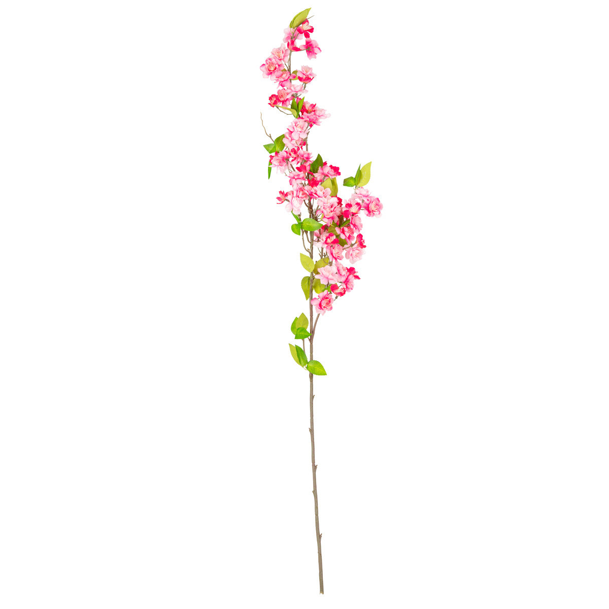 Cherry Blossom Dark Pink image 0