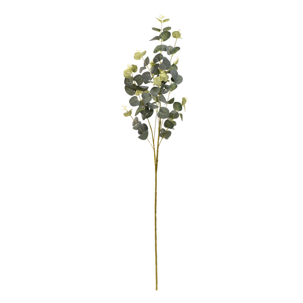 Eucalyptus Stem Frosted Mid Green image 0