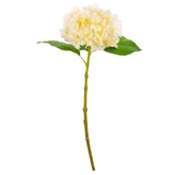 Small Head Hydrangea Cream/Pink image 0