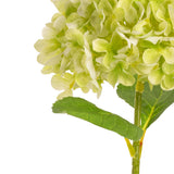 Hydrangea Stem Green (19cm Head 66cm Stem) image 1