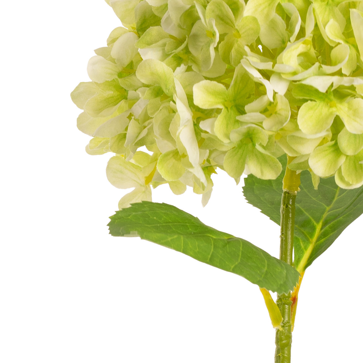 Hydrangea Stem Green (19cm Head 66cm Stem) image 1