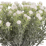 Mini Open Gypsophilia Bunch x 6 White 33cm image 2