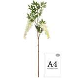 Wisteria Spray x 2 Heads White image 1