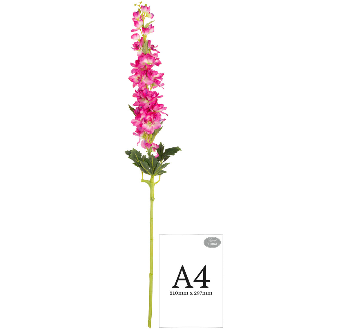 Delphinium x 26 Heads 106cm Beauty image 1