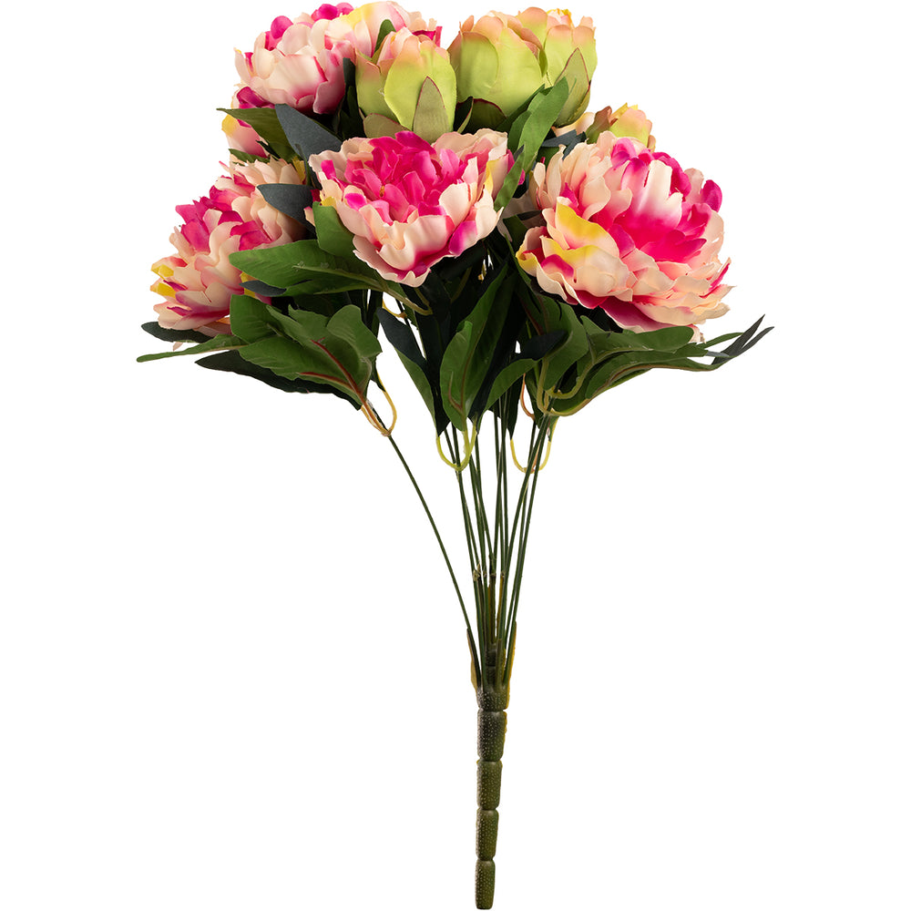 Peony 48cm Bush 2 Tone Pink image 0