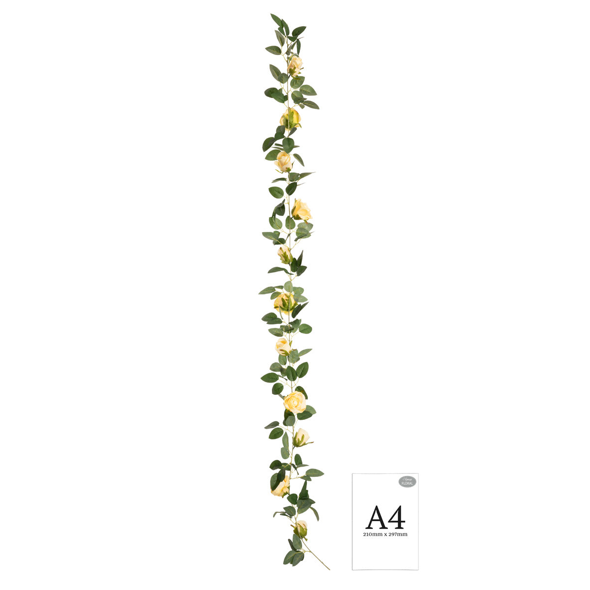 Alice Rose Garland x 11 Heads Champagne image 2