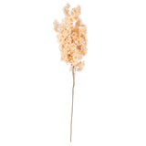 Blossom Spray Peach image 0