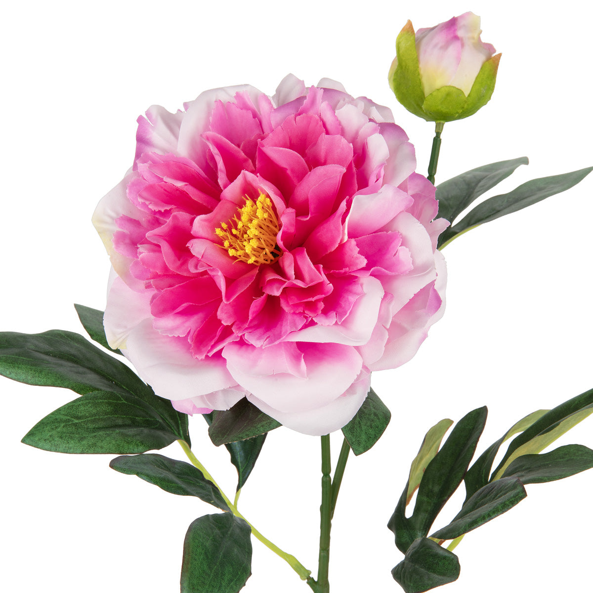 Peony Spray x 2 Cerise image 1