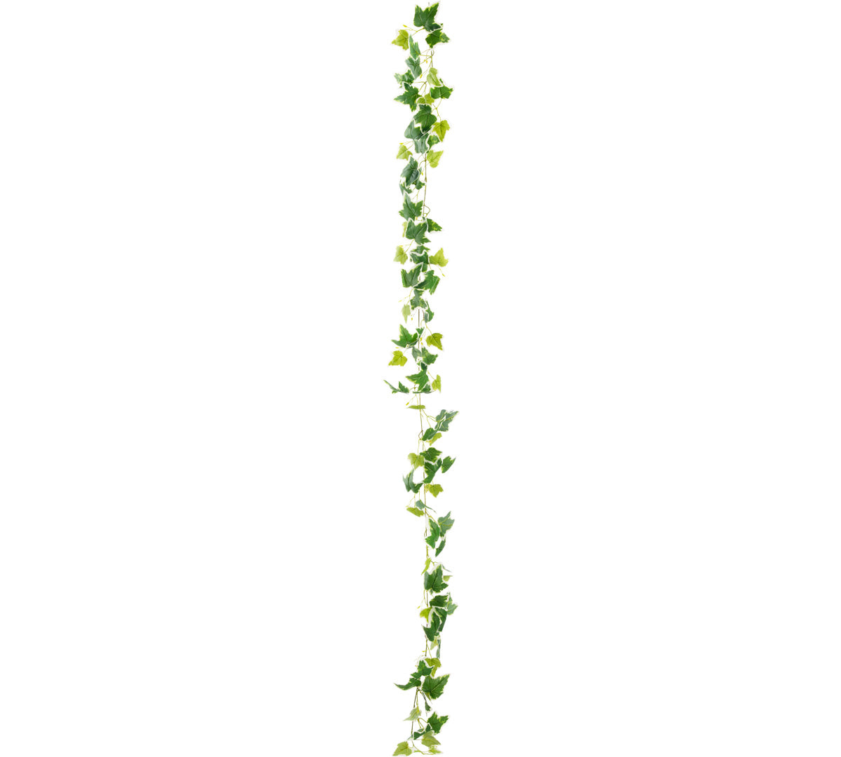 92" Ivy Garland Variegated x 88 Leaves image 1