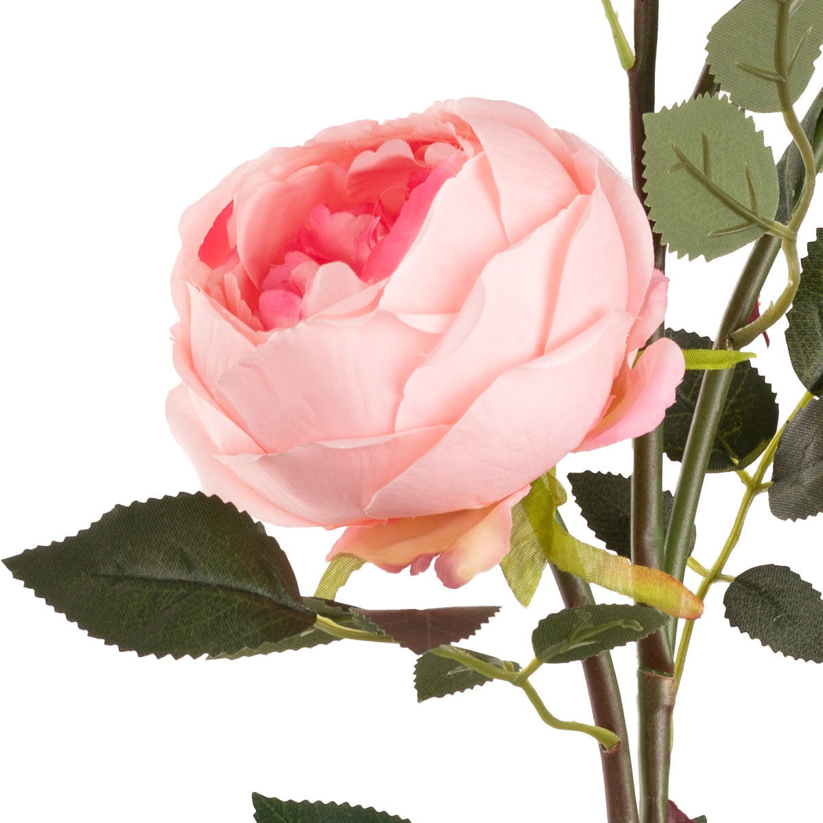 Elizabeth Garden Rose Spray x 3 Dark Pink image 2