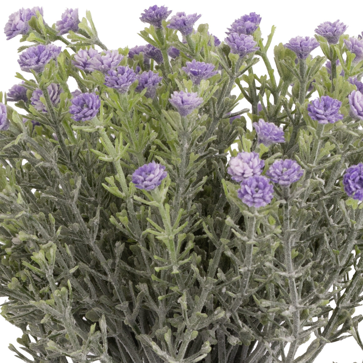 Mini Open Gypsophilia Bunch x 6 Lavender 33cm image 1