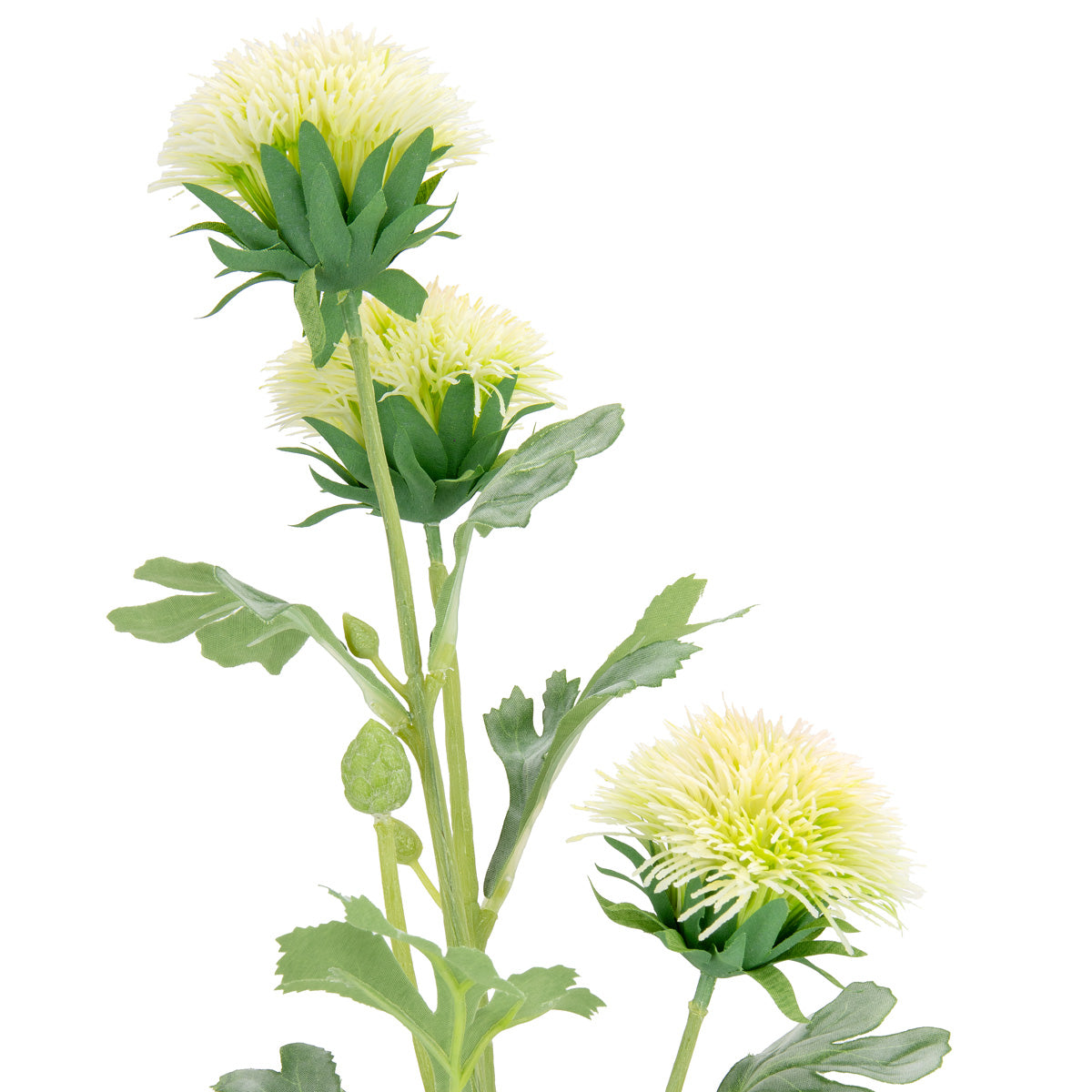 68cm Thistle Spray x 3 Green image 1