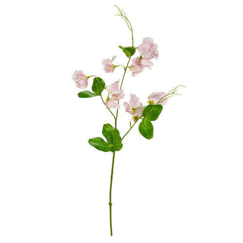 Sweet Pea Spray Light Pink image 0