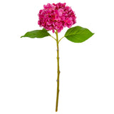 Small Head Hydrangea Fuchsia image 0