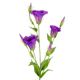 Eleganza Lisianthus Spray x 3 Purple image 1