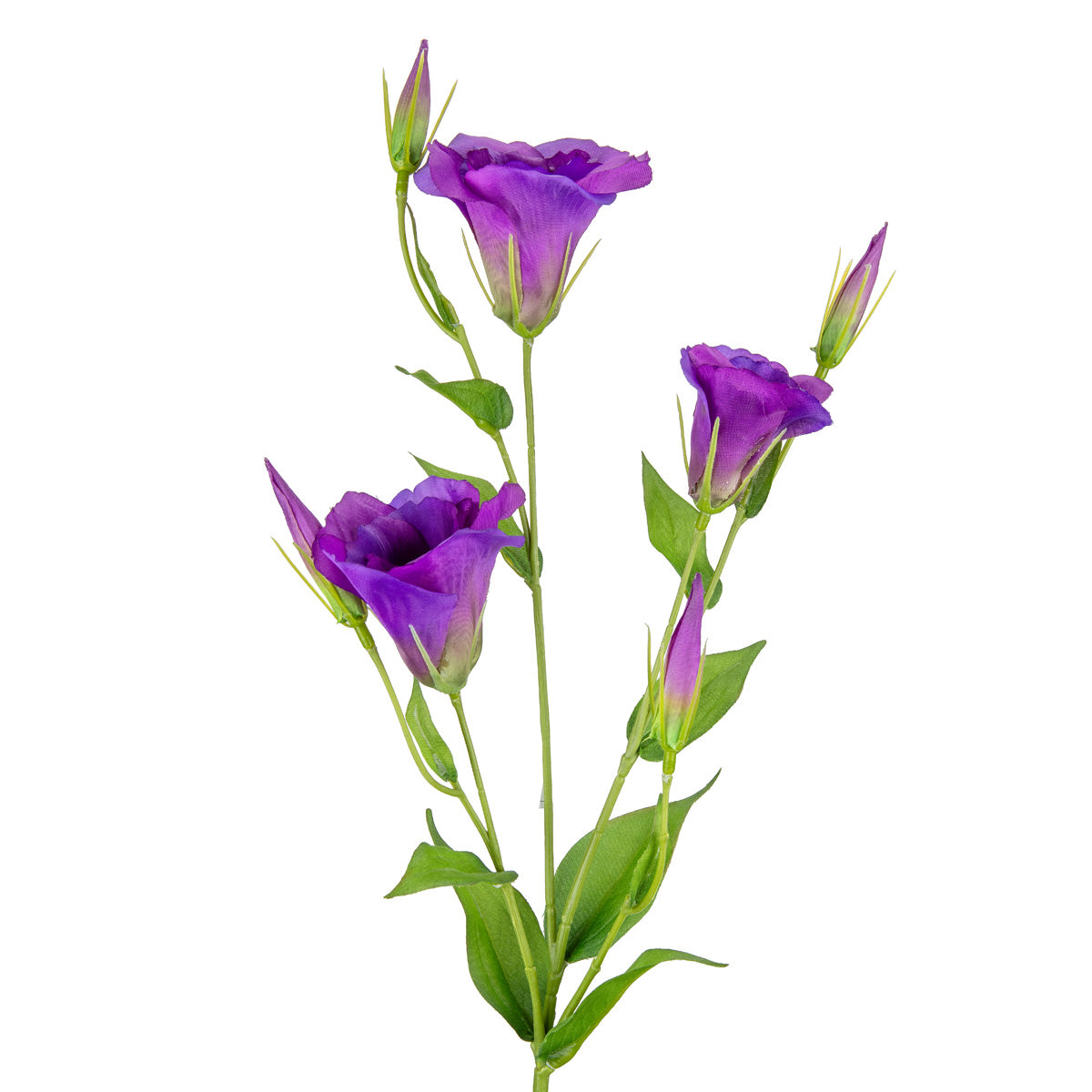 Eleganza Lisianthus Spray x 3 Purple image 1