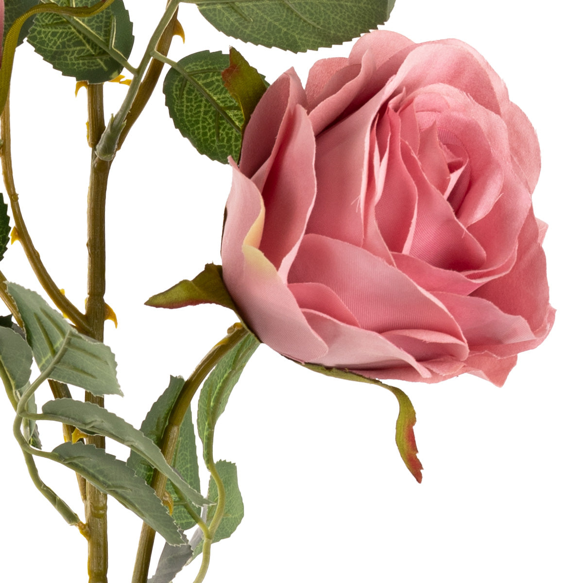 Large Charlotte Rose Spray x 3 Dusky Pink image 2