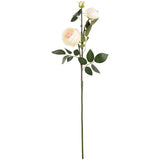 Elizabeth Garden Rose Spray x 3 Cream Pink image 0