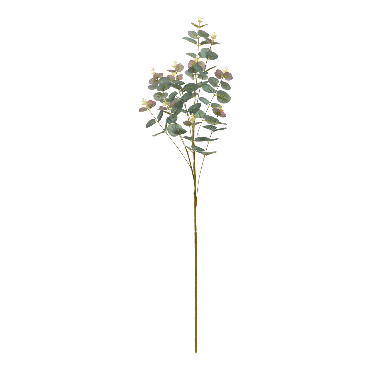 Eucalyptus Stem Two Tone Green image 0