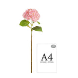 Hydrangea Stem Pink (19cm Head 66cm Stem) image 2