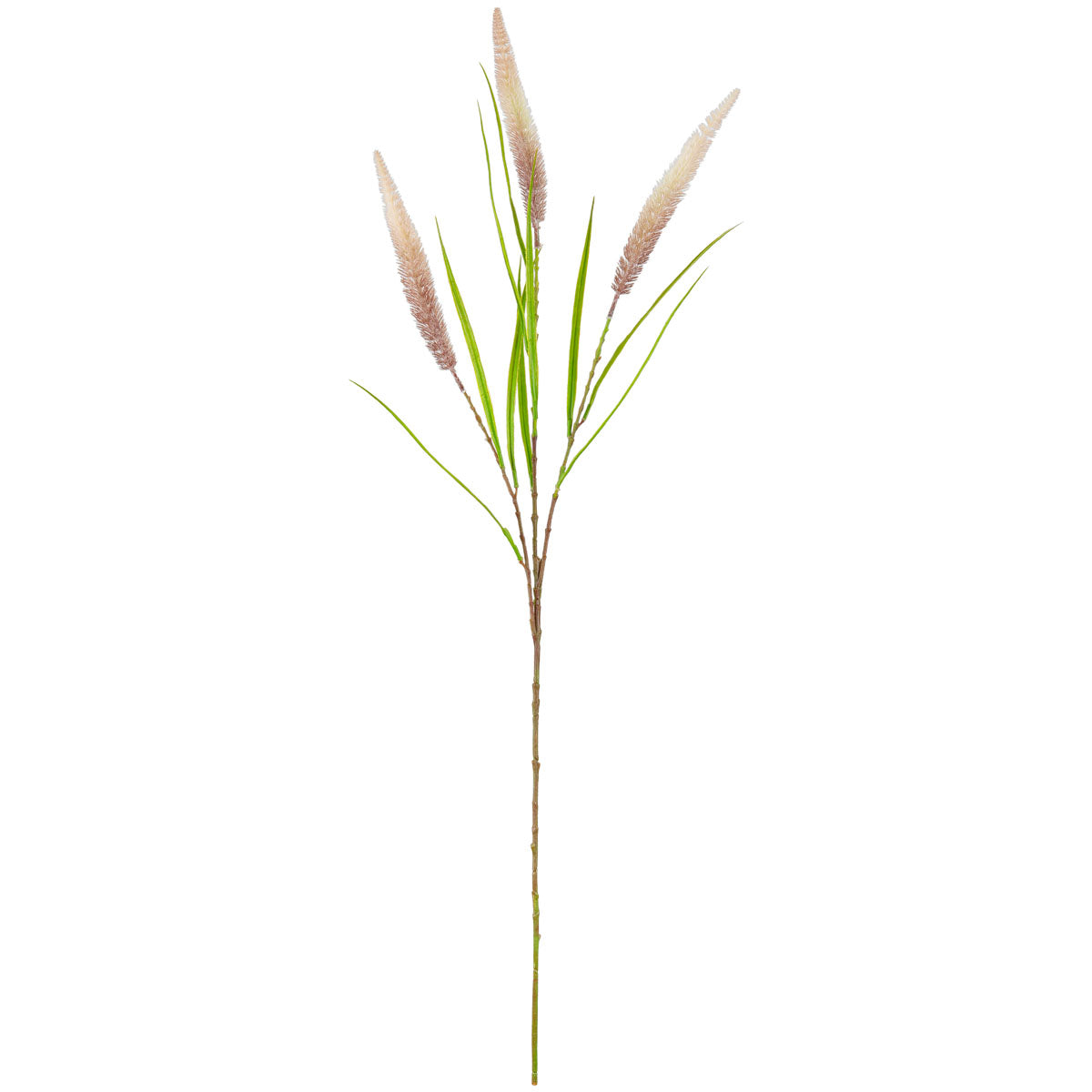 100cm Reed Spray Pink Purple image 0