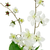 Clematis Spray x 2 White image 2