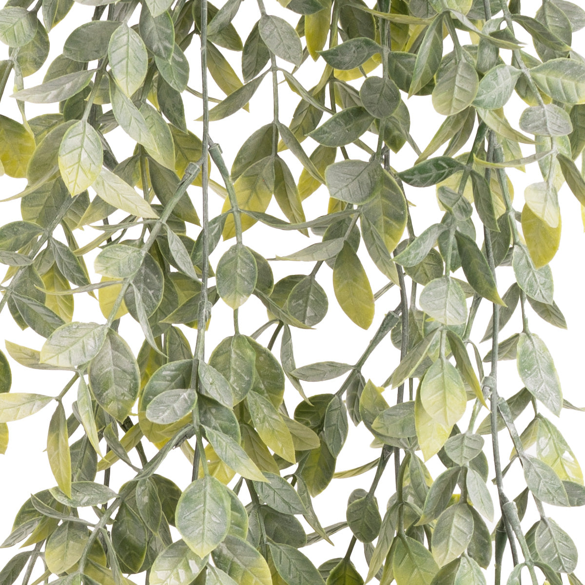 Hanging Plastic Wild Tea Bush image 2