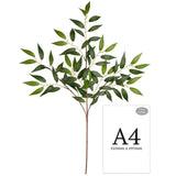Ruscus Spray image 1